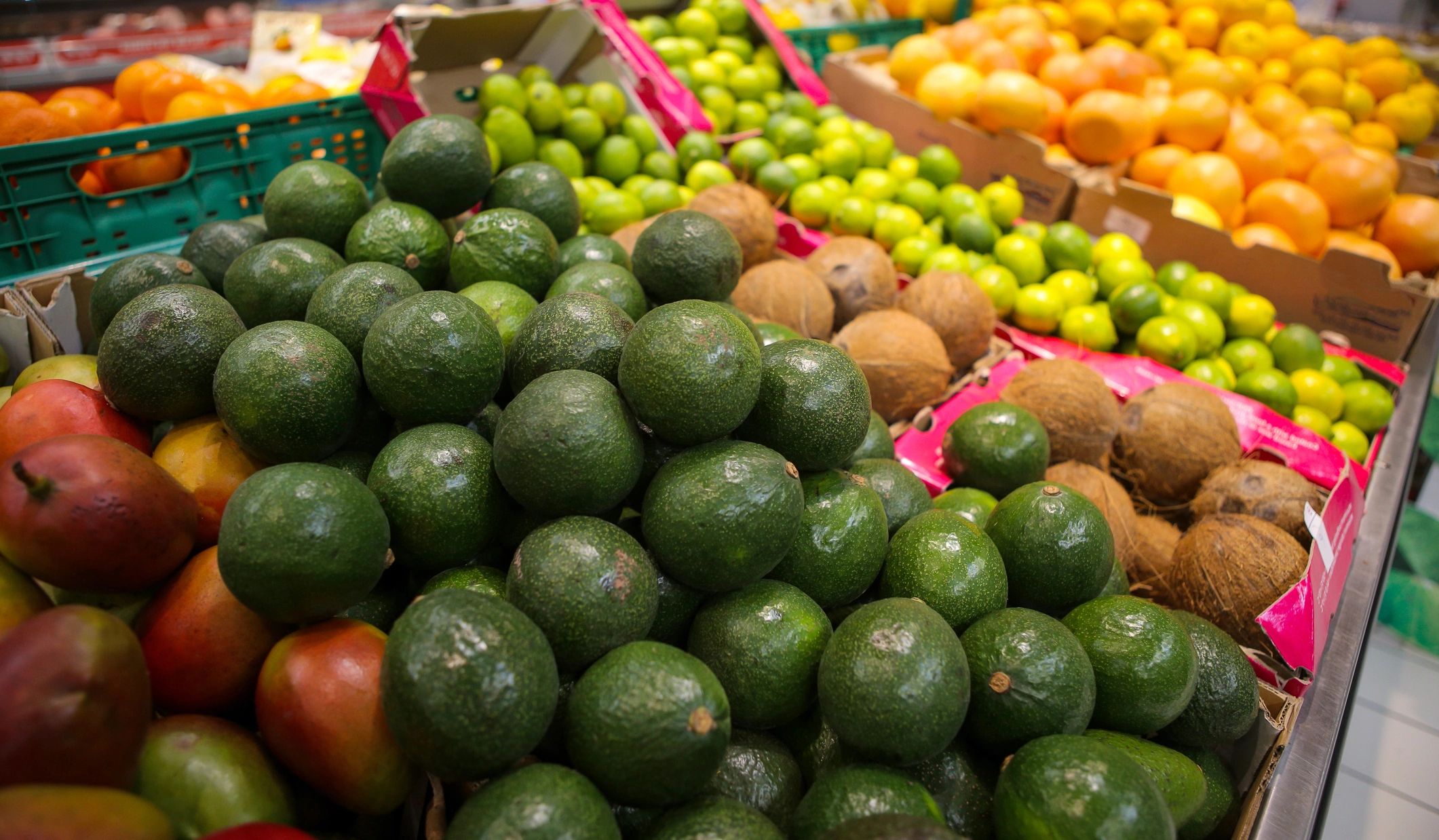 Fresh avocados and citrus